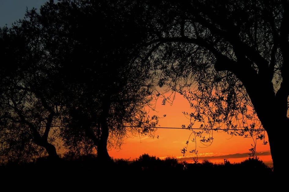 Marika Canu  – Scrivere a 16 anni