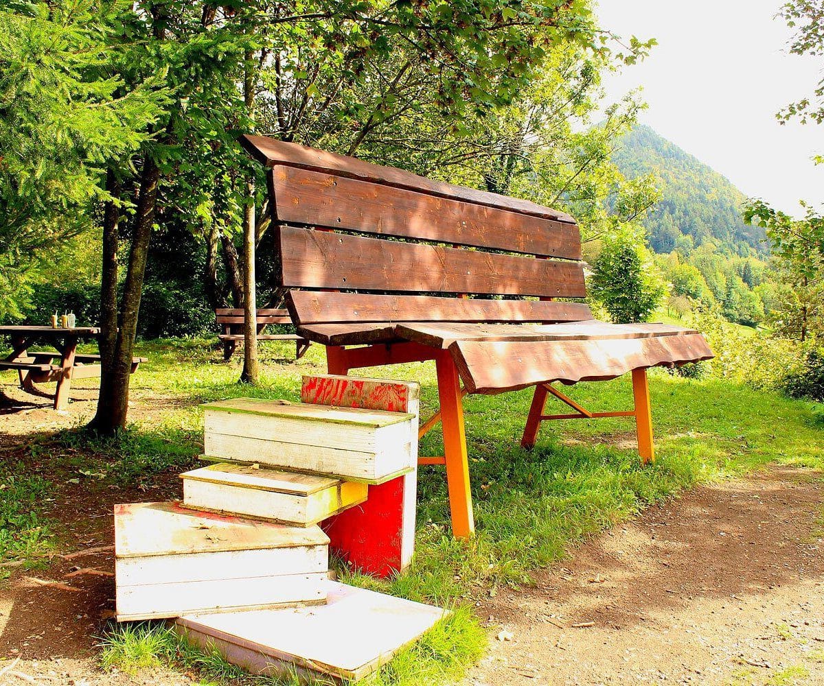 LIBROPEDONALE| L’ITINERARIO LETTERARIO