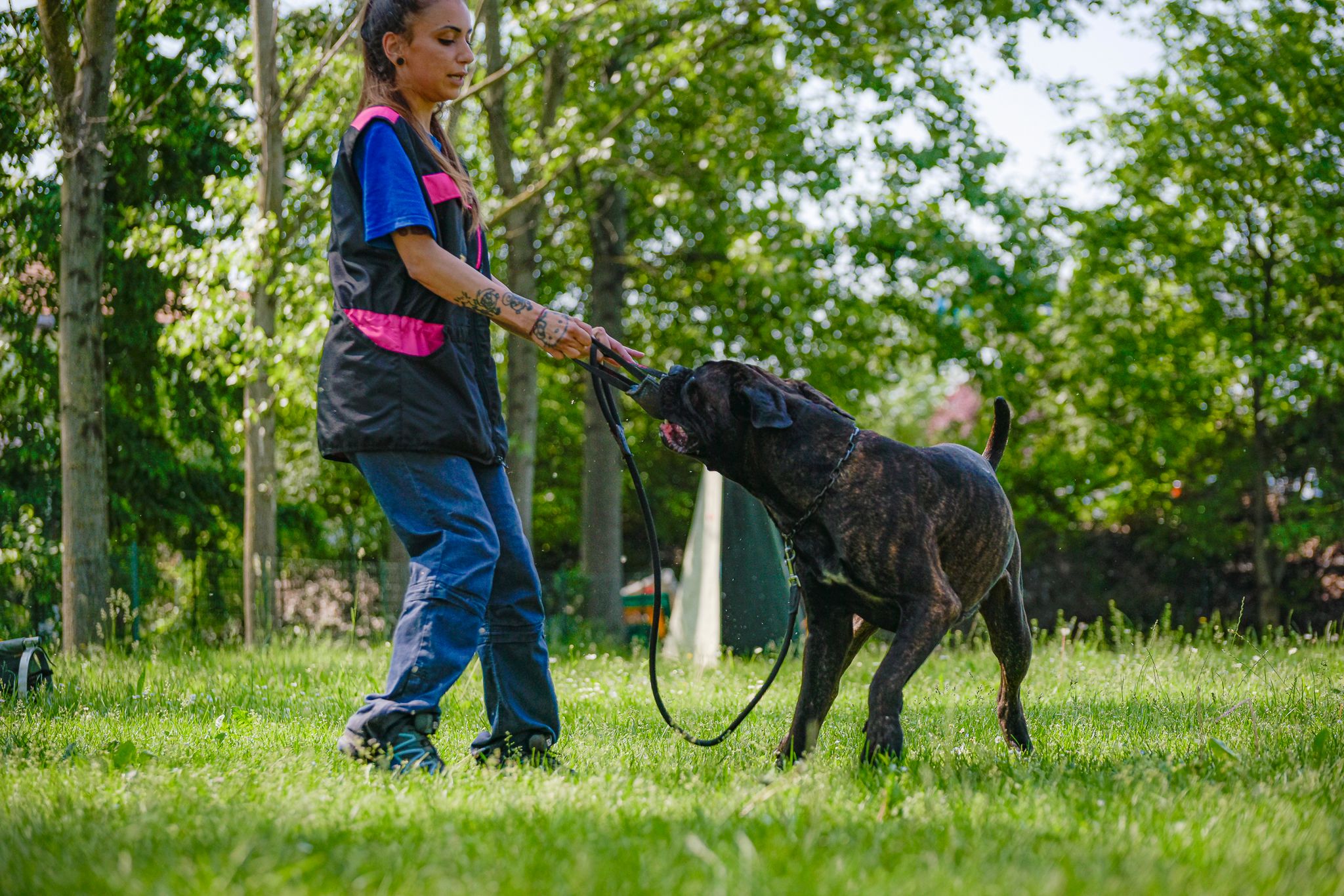 Martina Mastrapasqua – L’addestratrice cinofila